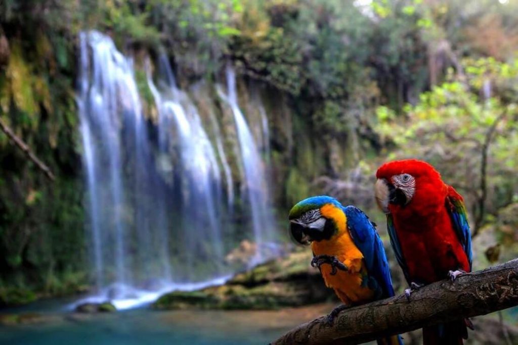 antalya kursunlu waterfall tour