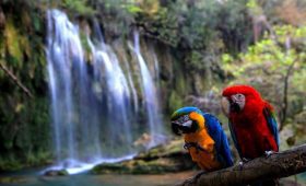 antalya kursunlu waterfall tour