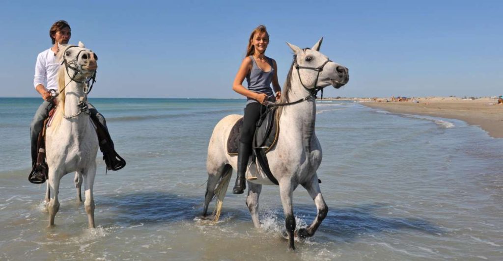 Horse riding tour antalya sandy beach